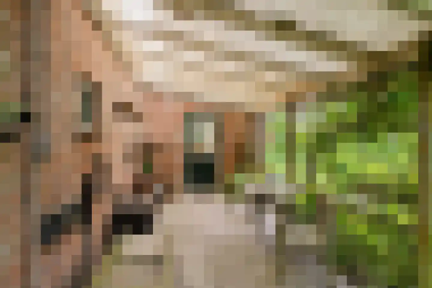 Borgweg 23 Lellens thumbnail 62