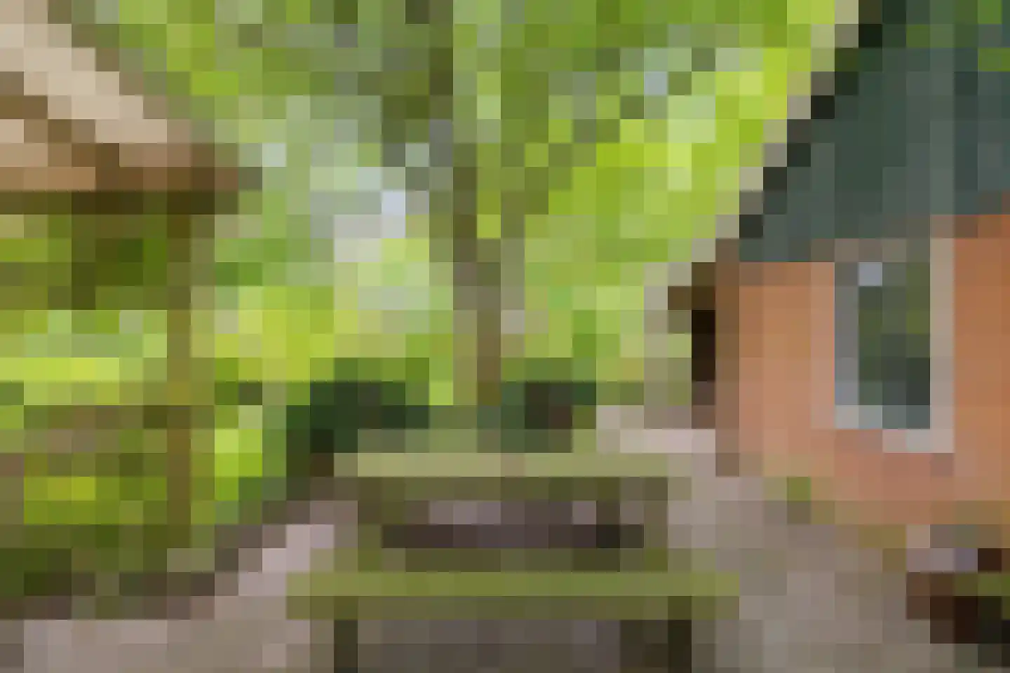 Borgweg 23 Lellens thumbnail 63