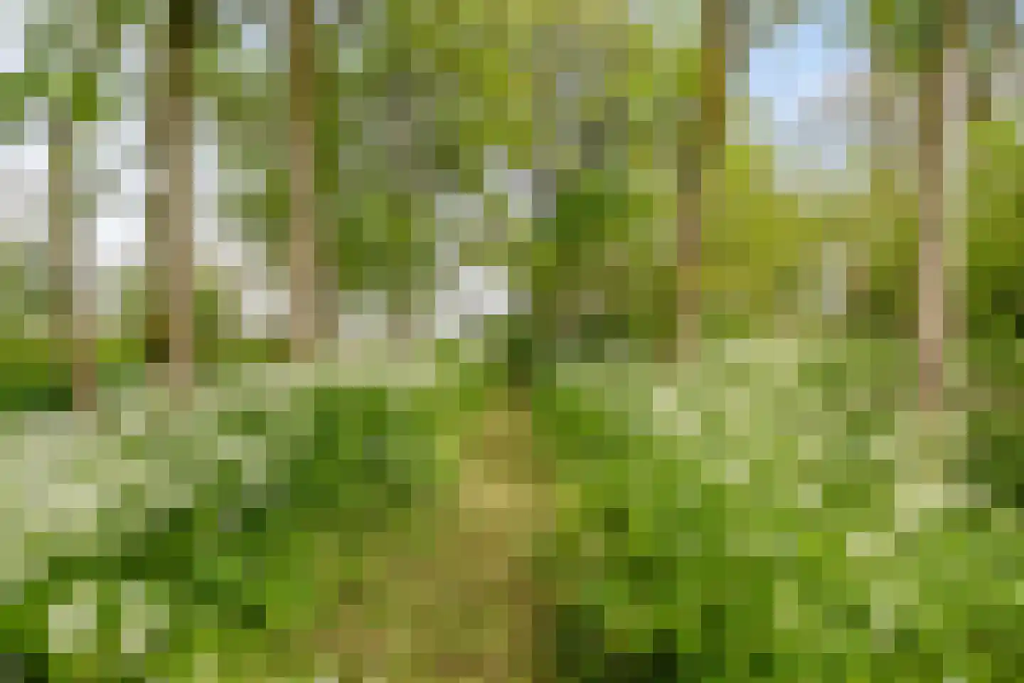 Borgweg 23 Lellens thumbnail 68