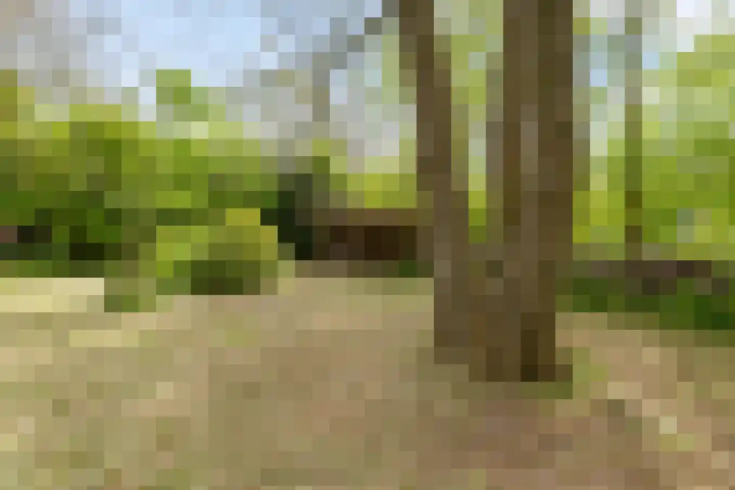 Borgweg 23 Lellens thumbnail 69