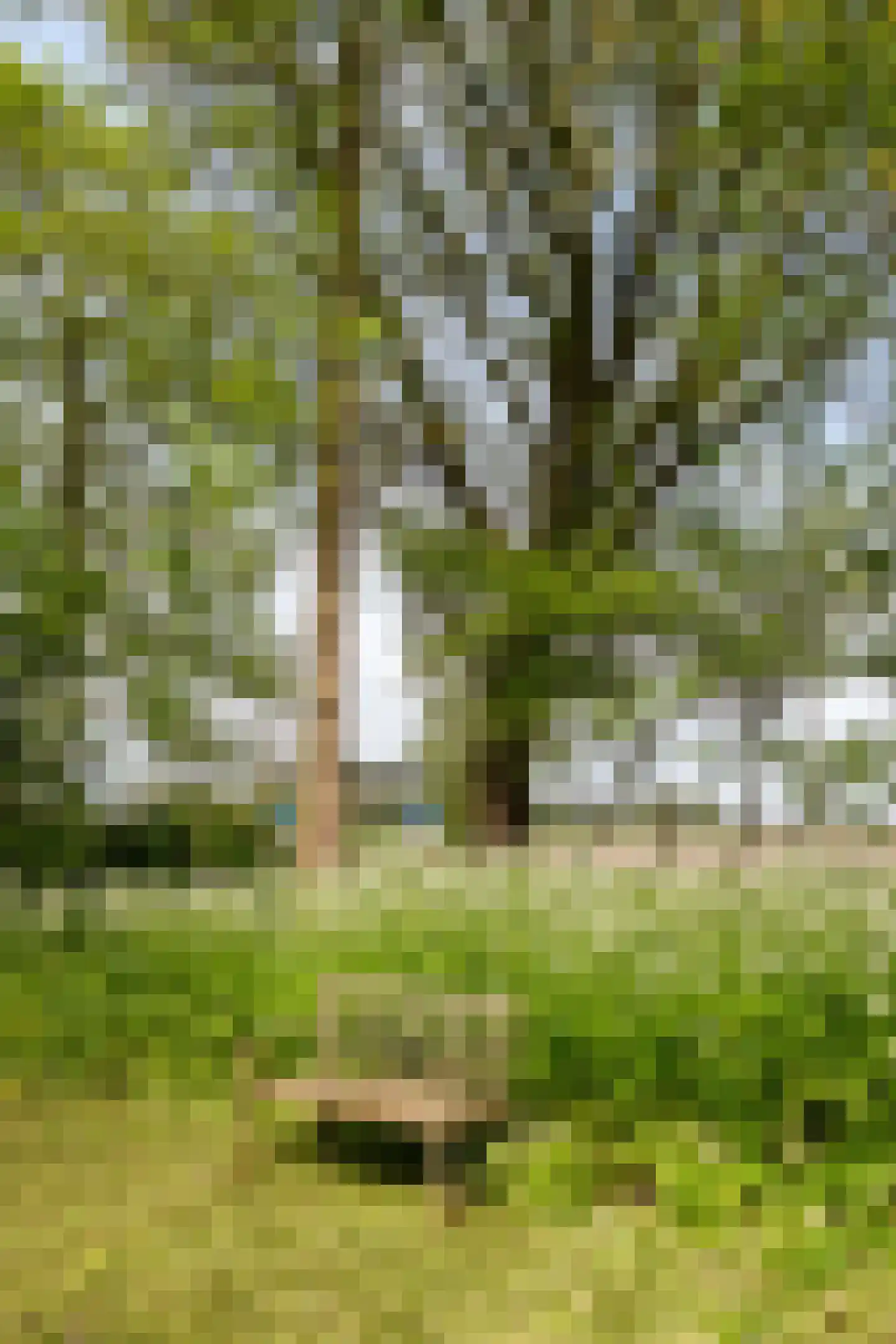 Borgweg 23 Lellens thumbnail 70