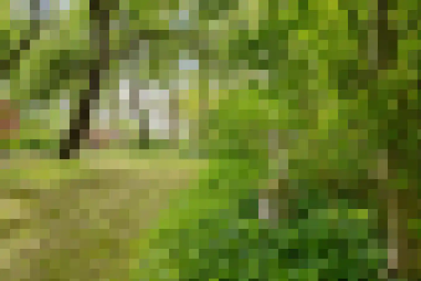 Borgweg 23 Lellens thumbnail 71