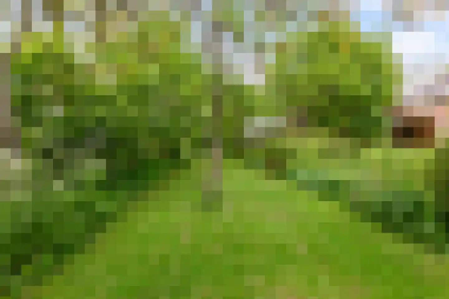 Borgweg 23 Lellens thumbnail 74