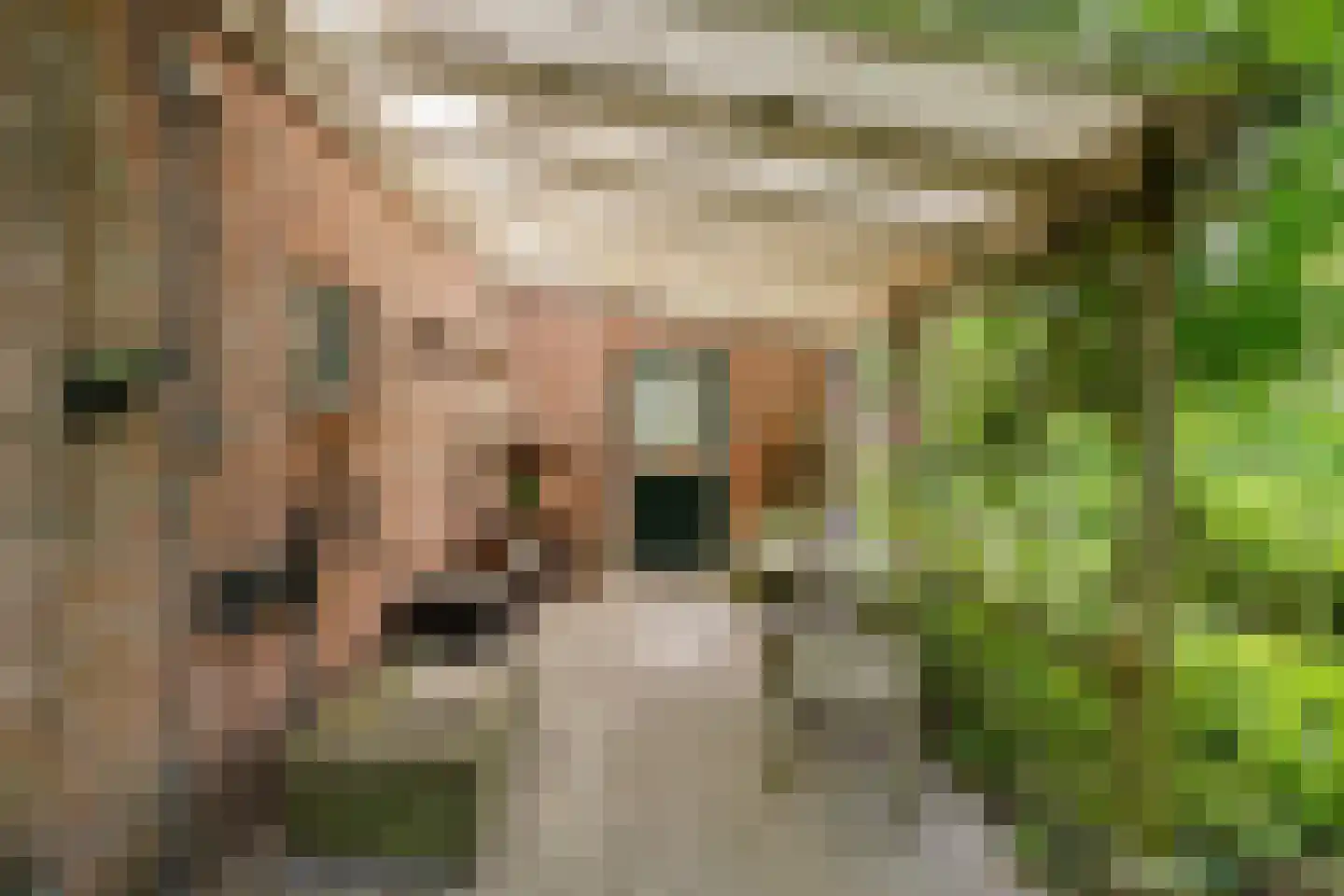 Borgweg 23 Lellens thumbnail 75