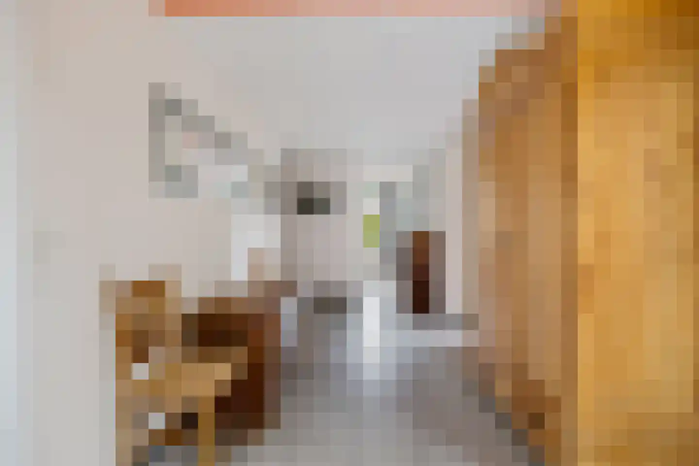 Borgweg 24 Schipborg thumbnail 10
