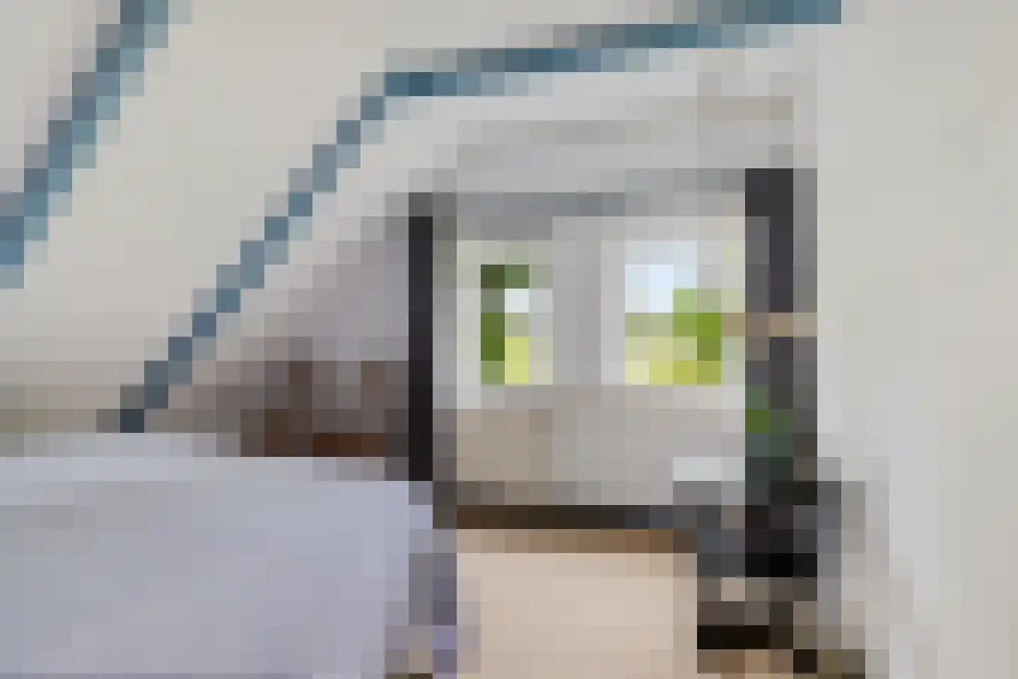 Borgweg 24 Schipborg thumbnail 32