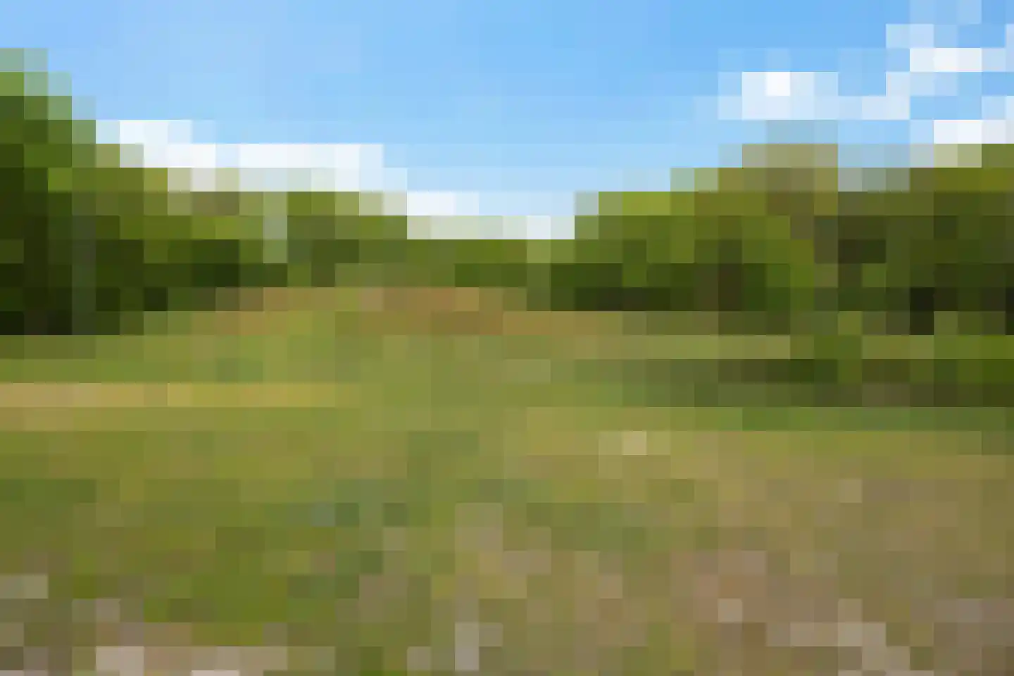 Borgweg 24 Schipborg thumbnail 46