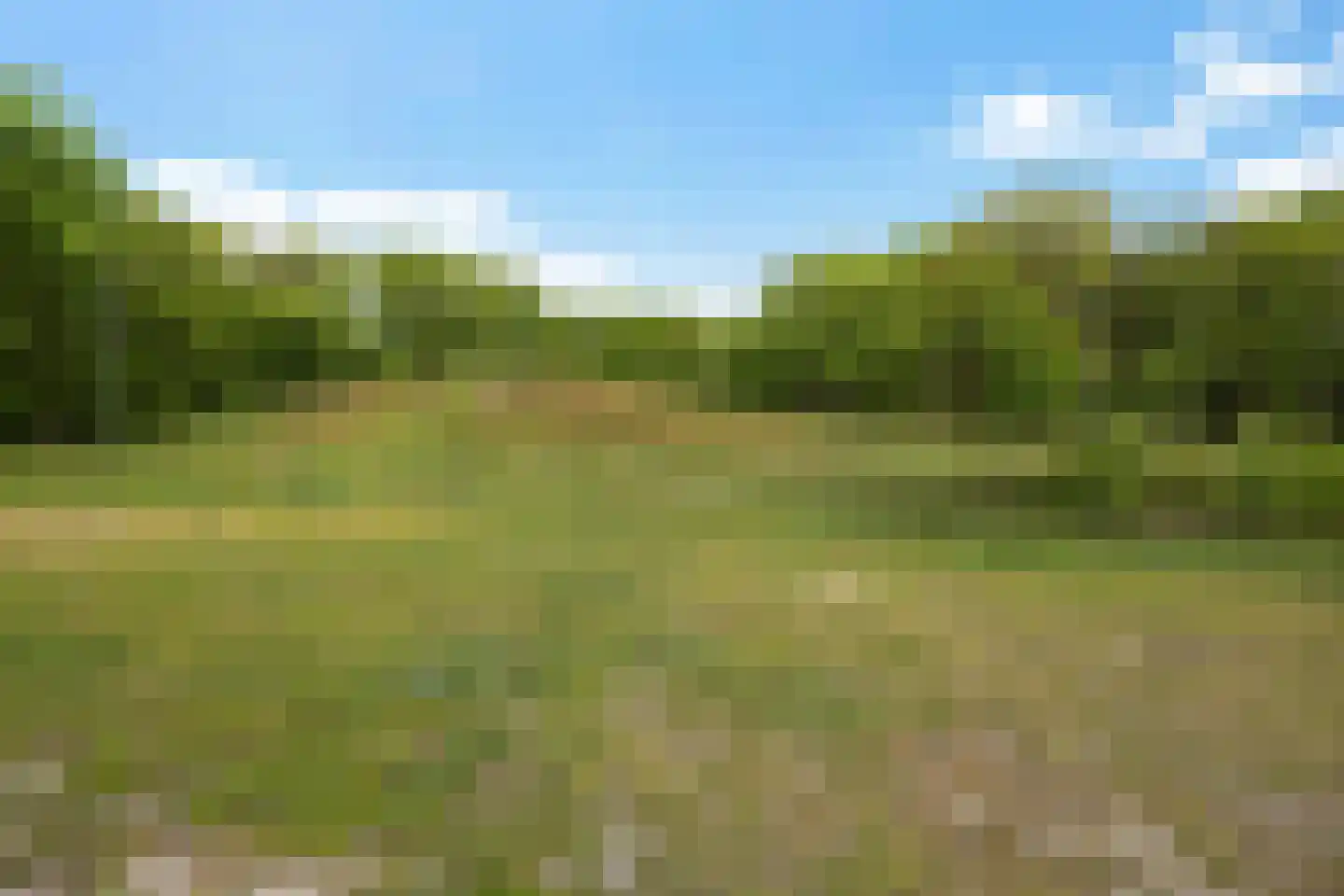 Borgweg 24 Schipborg thumbnail 46