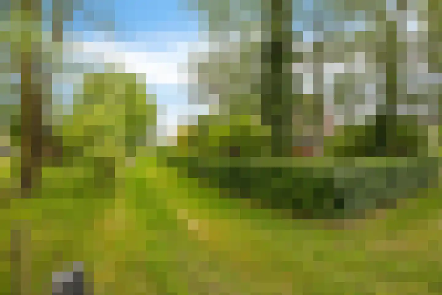 Borgweg 24 Schipborg thumbnail 48