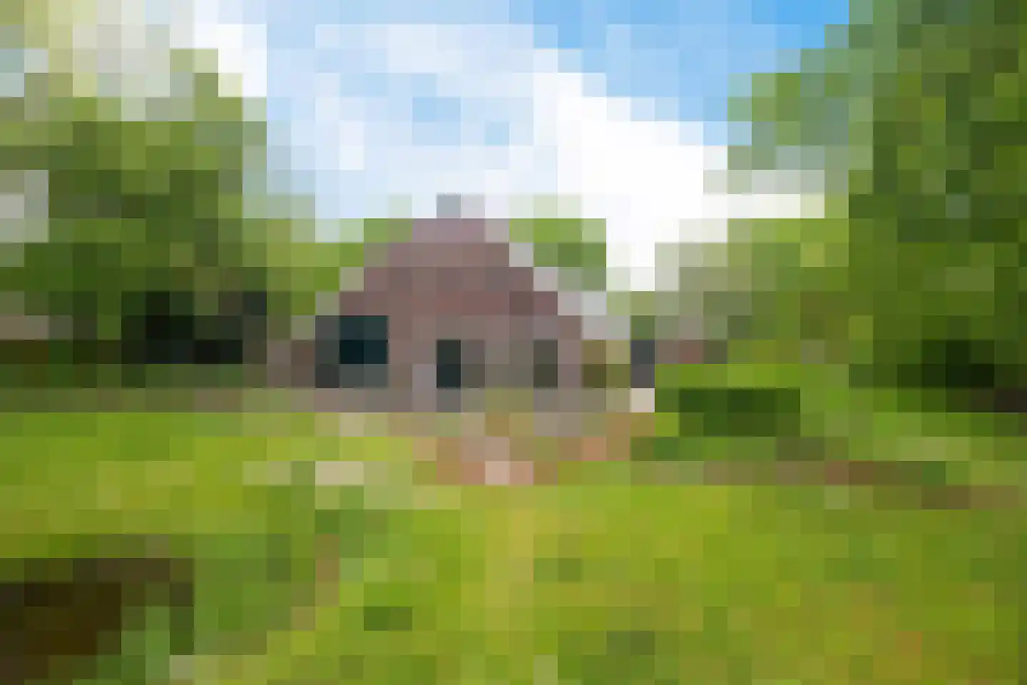 Borgweg 24 Schipborg thumbnail 51