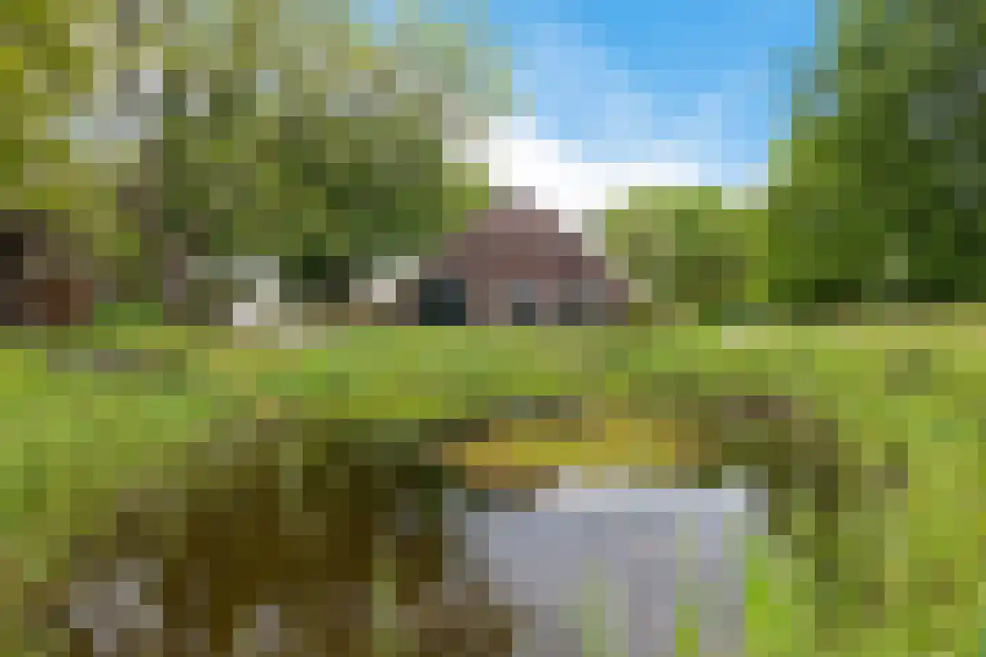 Borgweg 24 Schipborg thumbnail 52