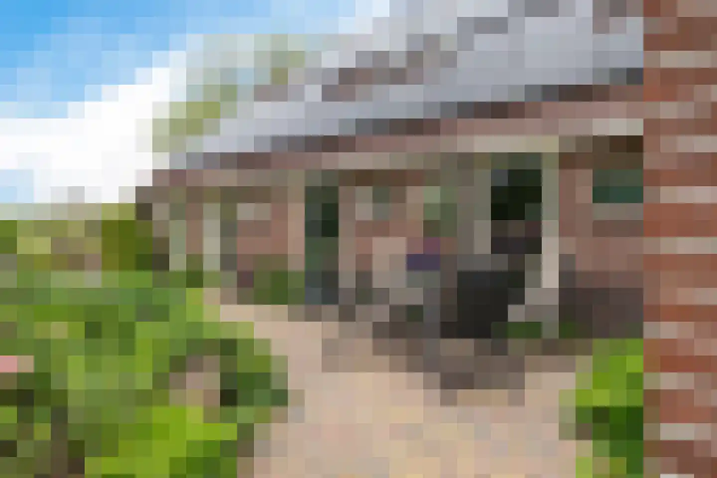 Borgweg 24 Schipborg thumbnail 56