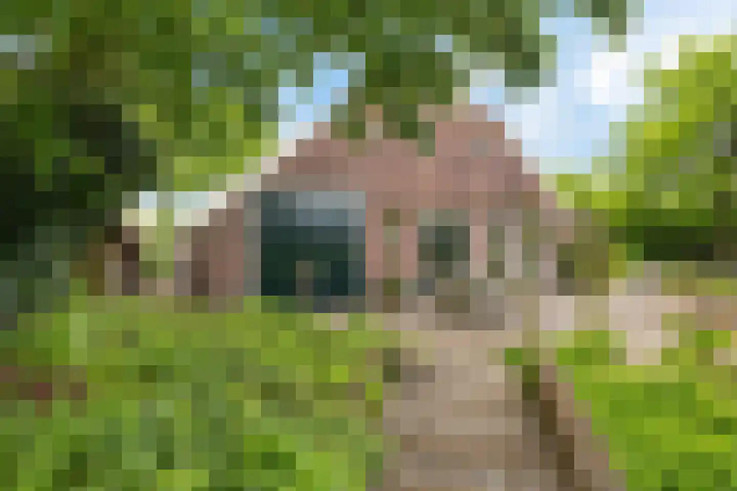 Borgweg 24 Schipborg thumbnail 59