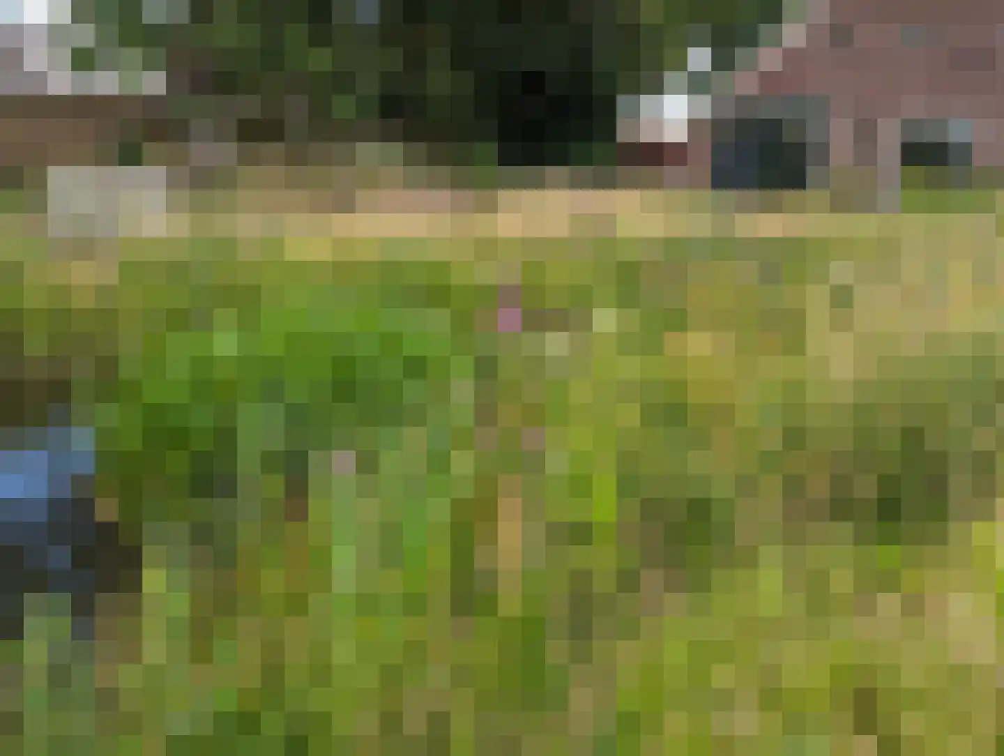 Borgweg 24 Schipborg thumbnail 60