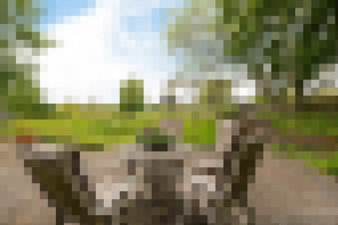 Borgweg 24 Schipborg thumbnail 61