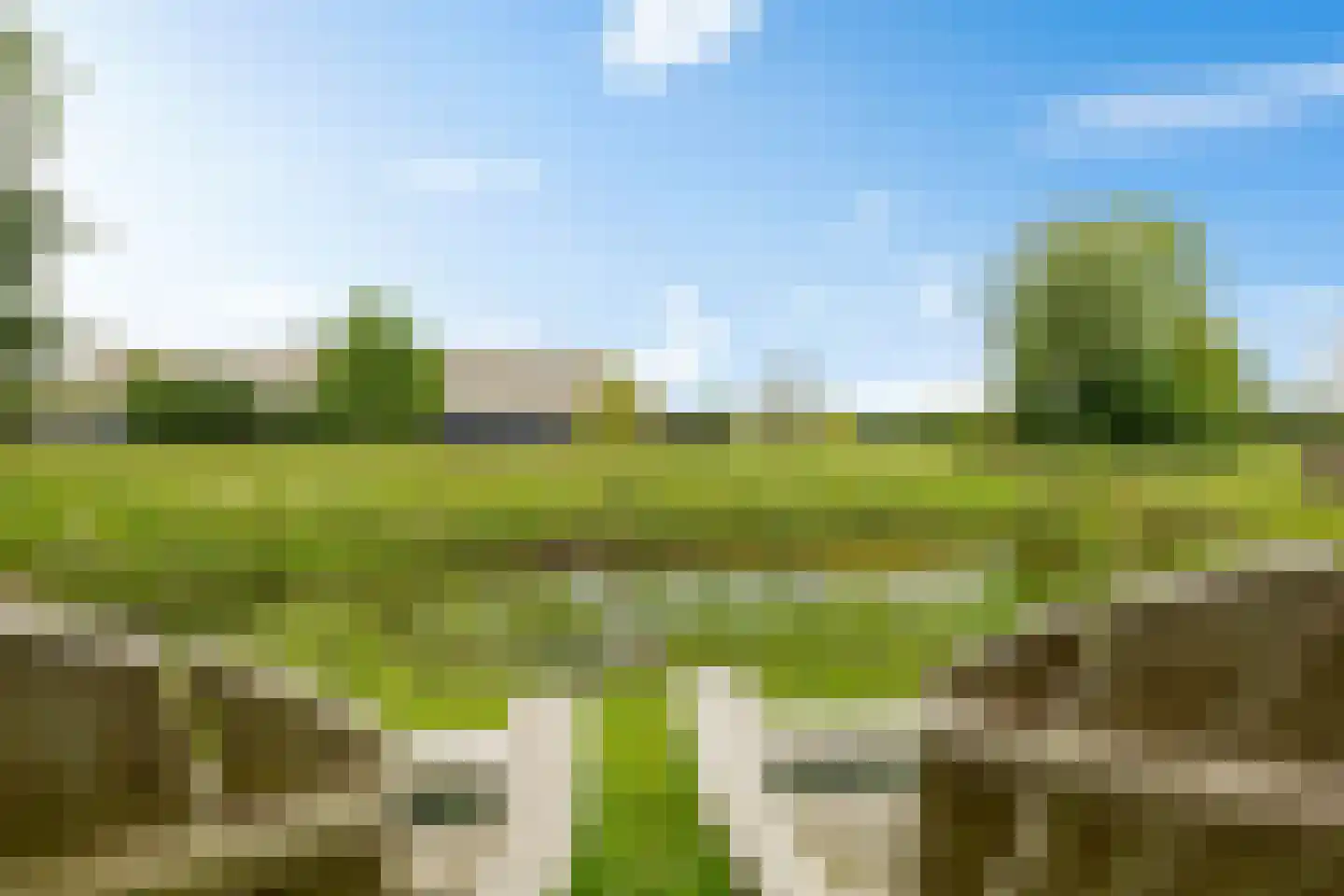 Borgweg 24 Schipborg thumbnail 65