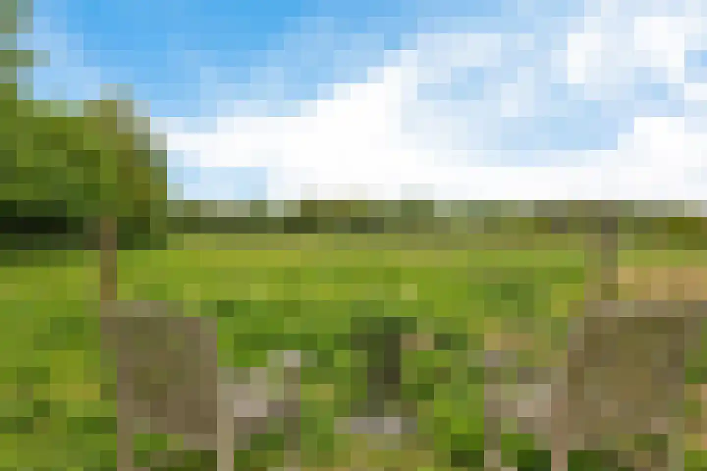 Borgweg 24 Schipborg thumbnail 66