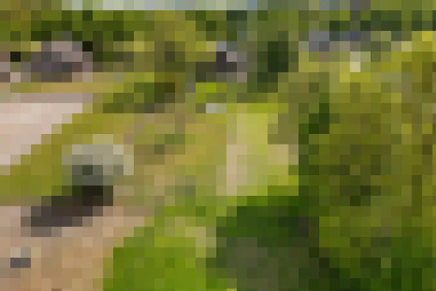 Borgweg 24 Schipborg thumbnail 68
