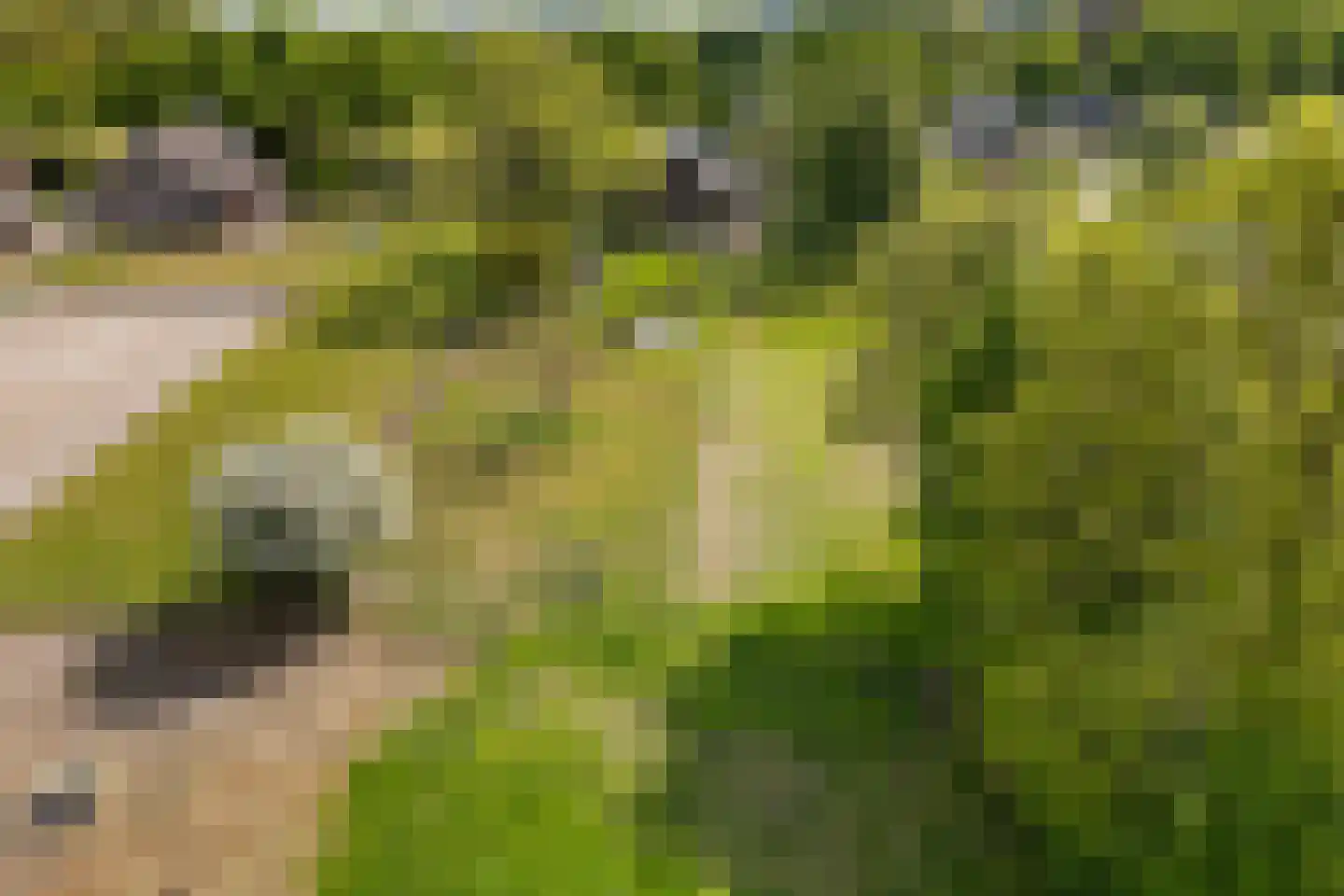 Borgweg 24 Schipborg thumbnail 68