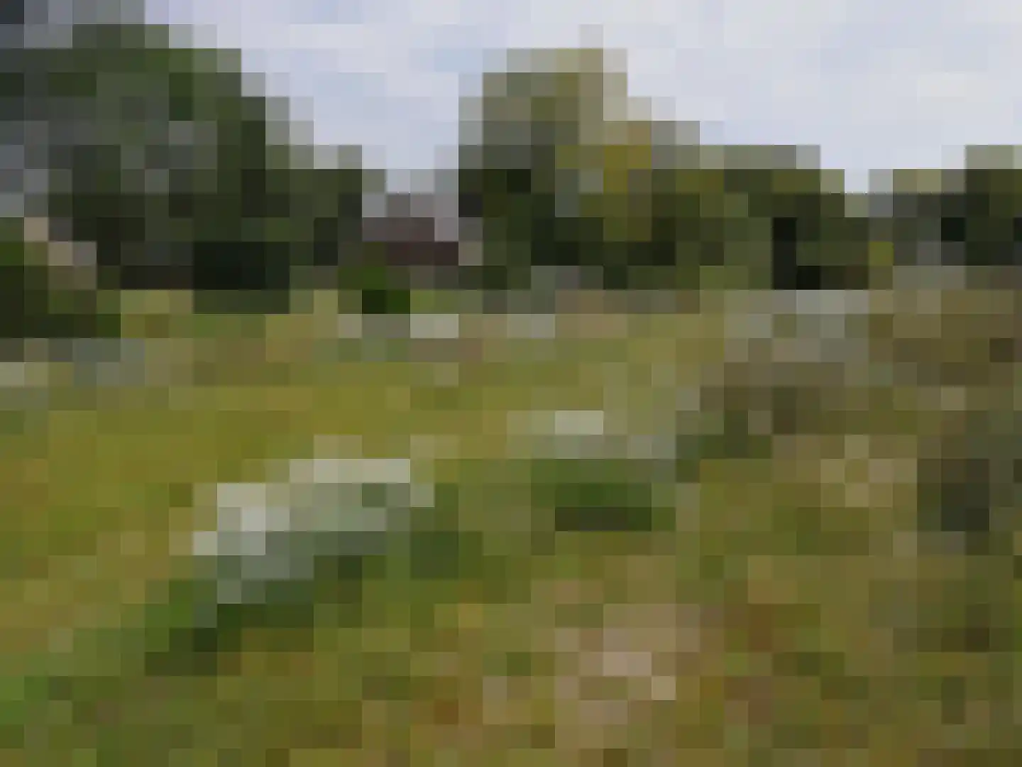 Borgweg 24 Schipborg thumbnail 69