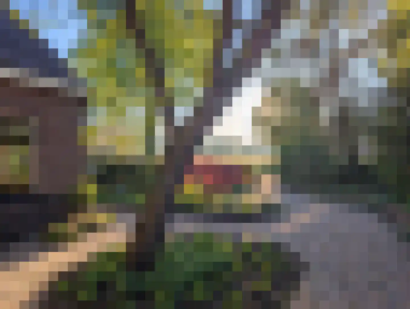 Borgweg 24 Schipborg thumbnail 71