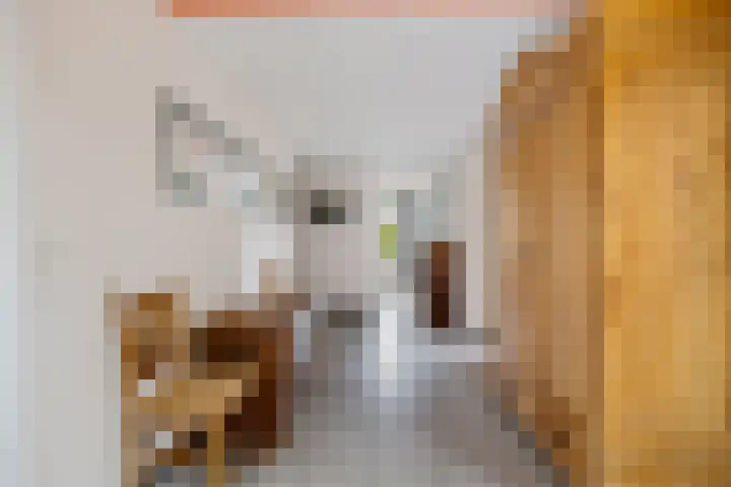 Borgweg 24 Schipborg thumbnail 8