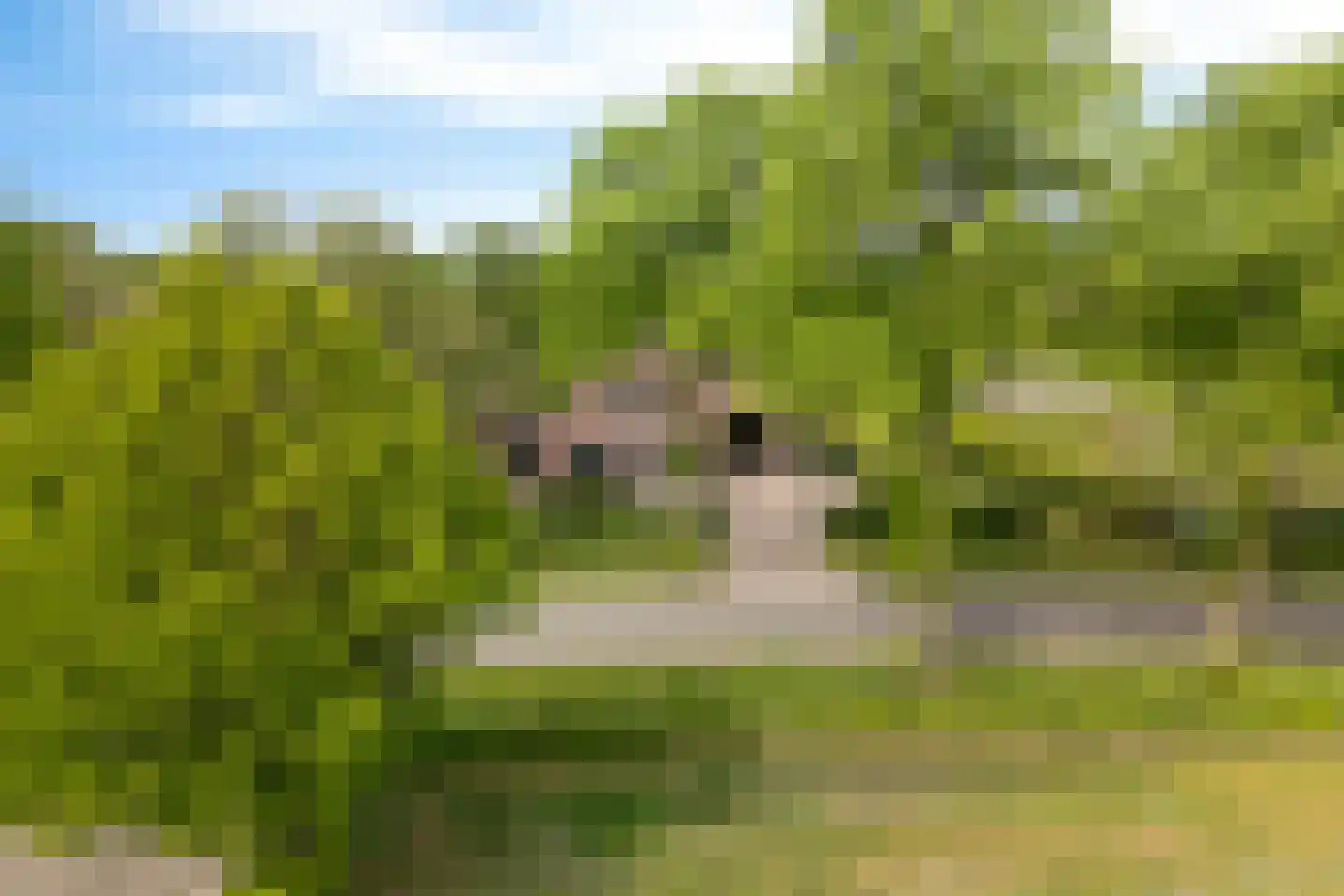 Borgweg 24 Schipborg thumbnail 80