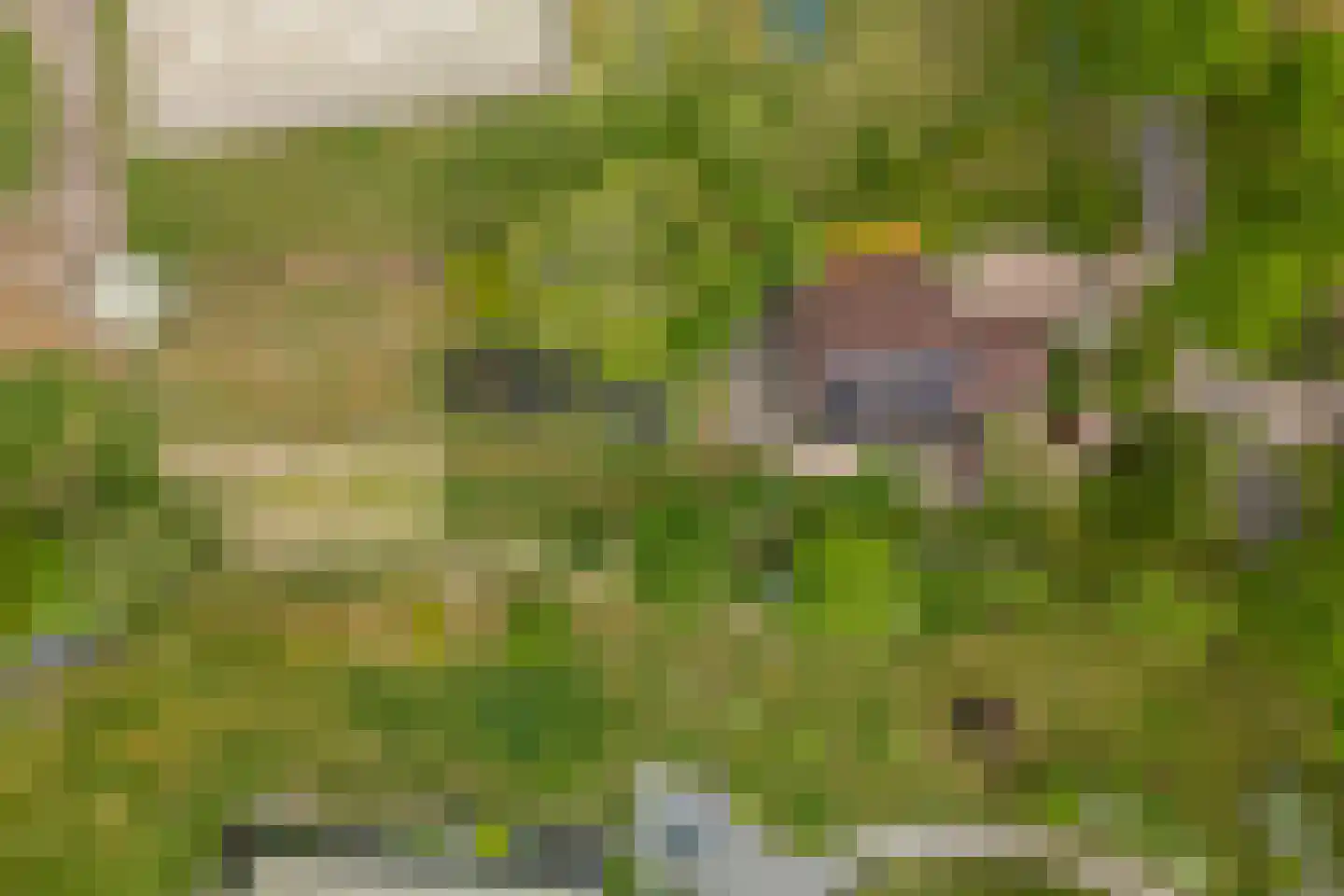 Borgweg 24 Schipborg thumbnail 81
