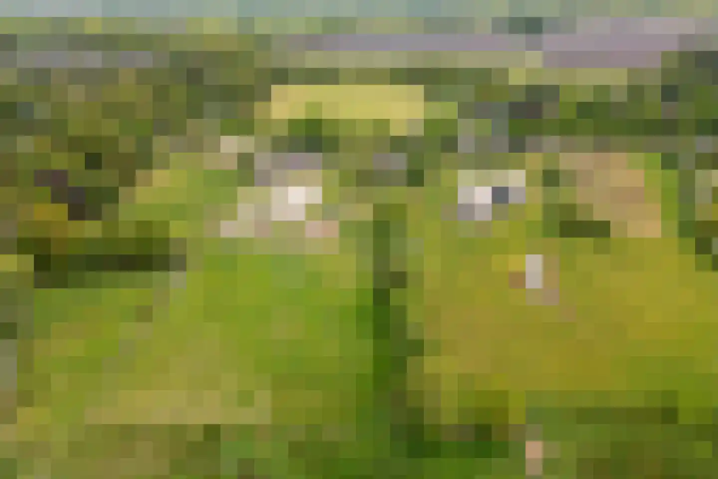 Borgweg 24 Schipborg thumbnail 82