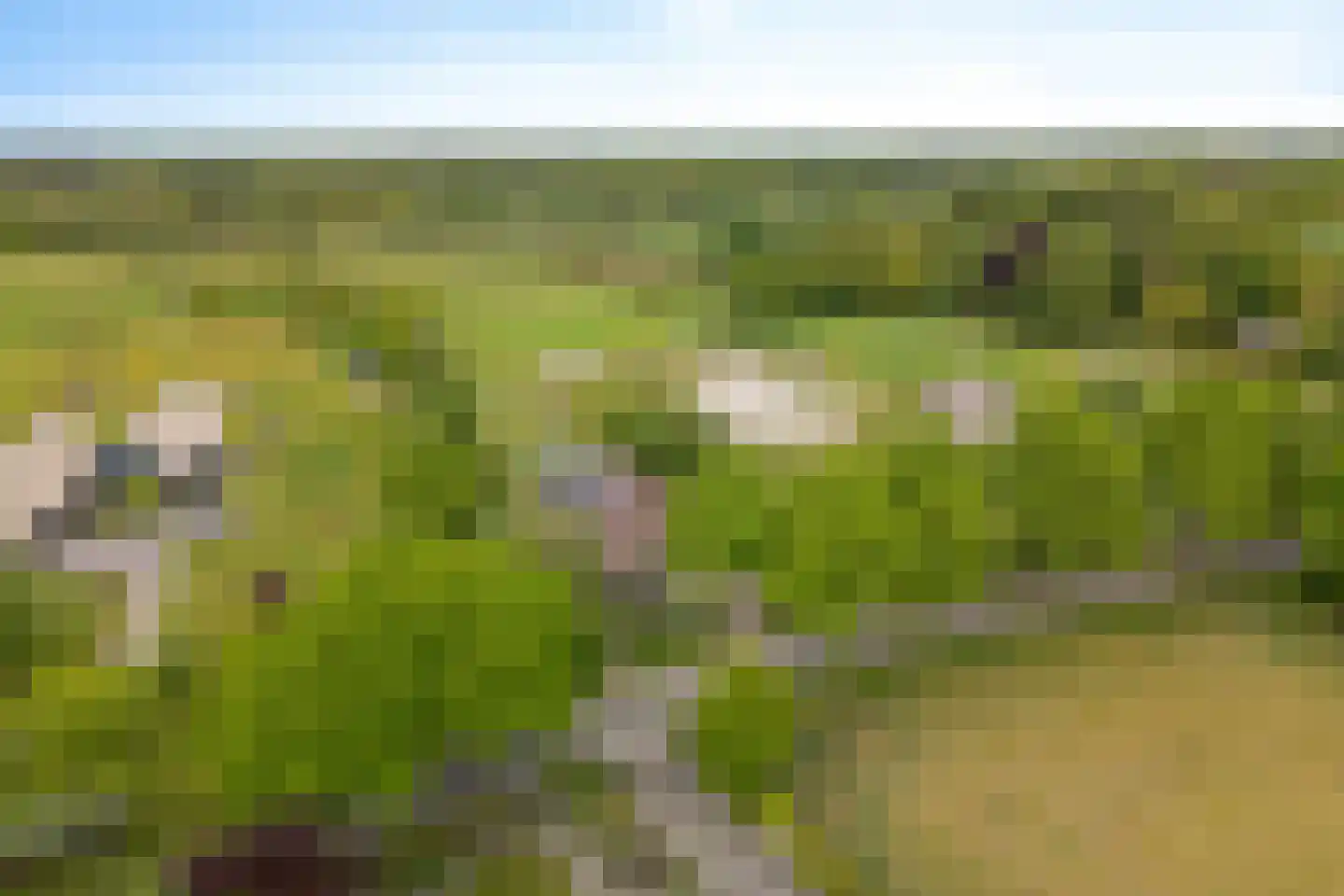 Borgweg 24 Schipborg thumbnail 83