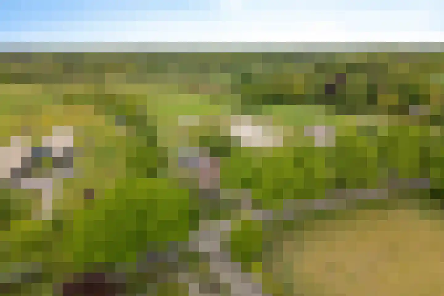 Borgweg 24 Schipborg thumbnail 83