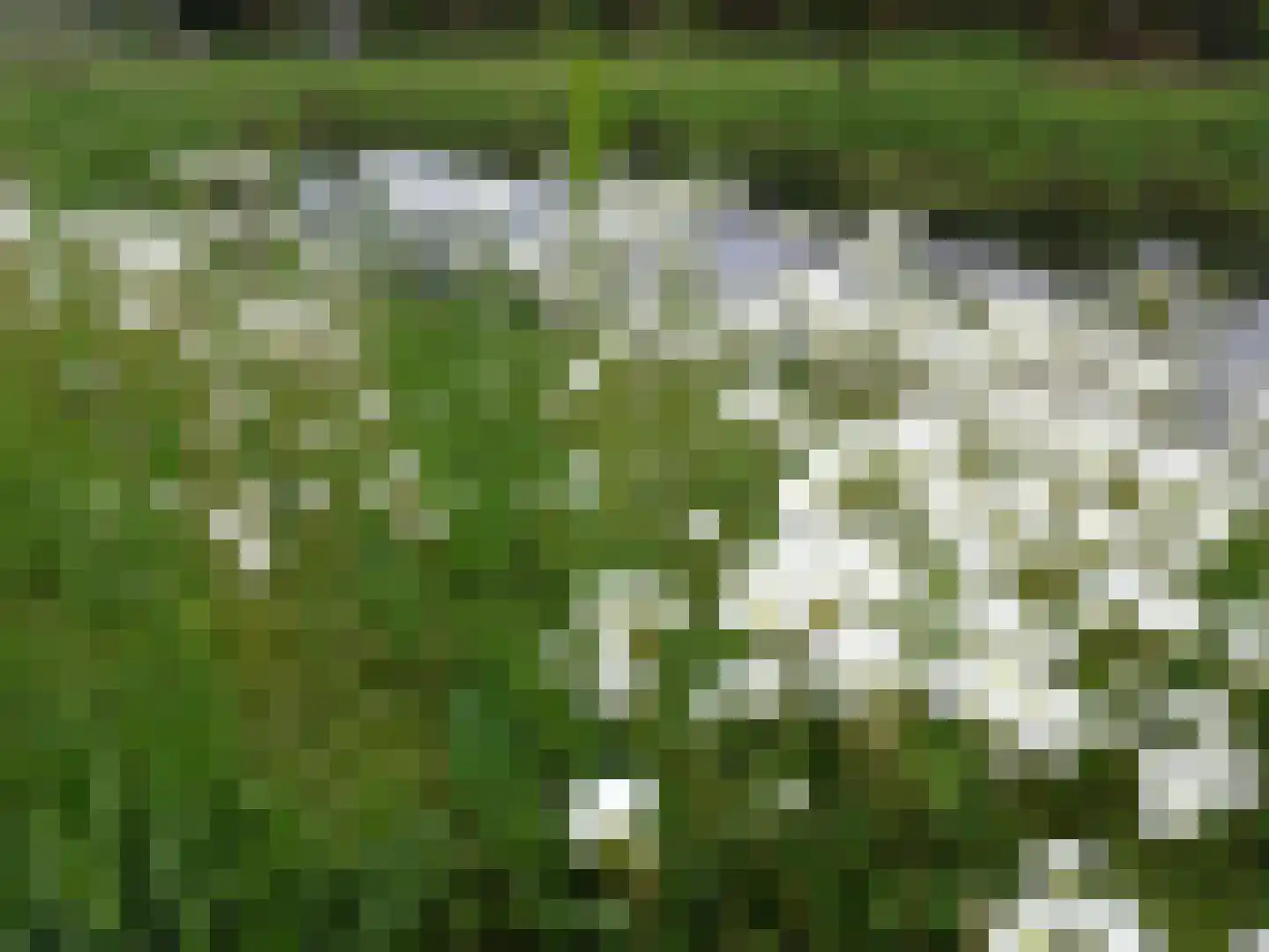 Borgweg 24 Schipborg thumbnail 84