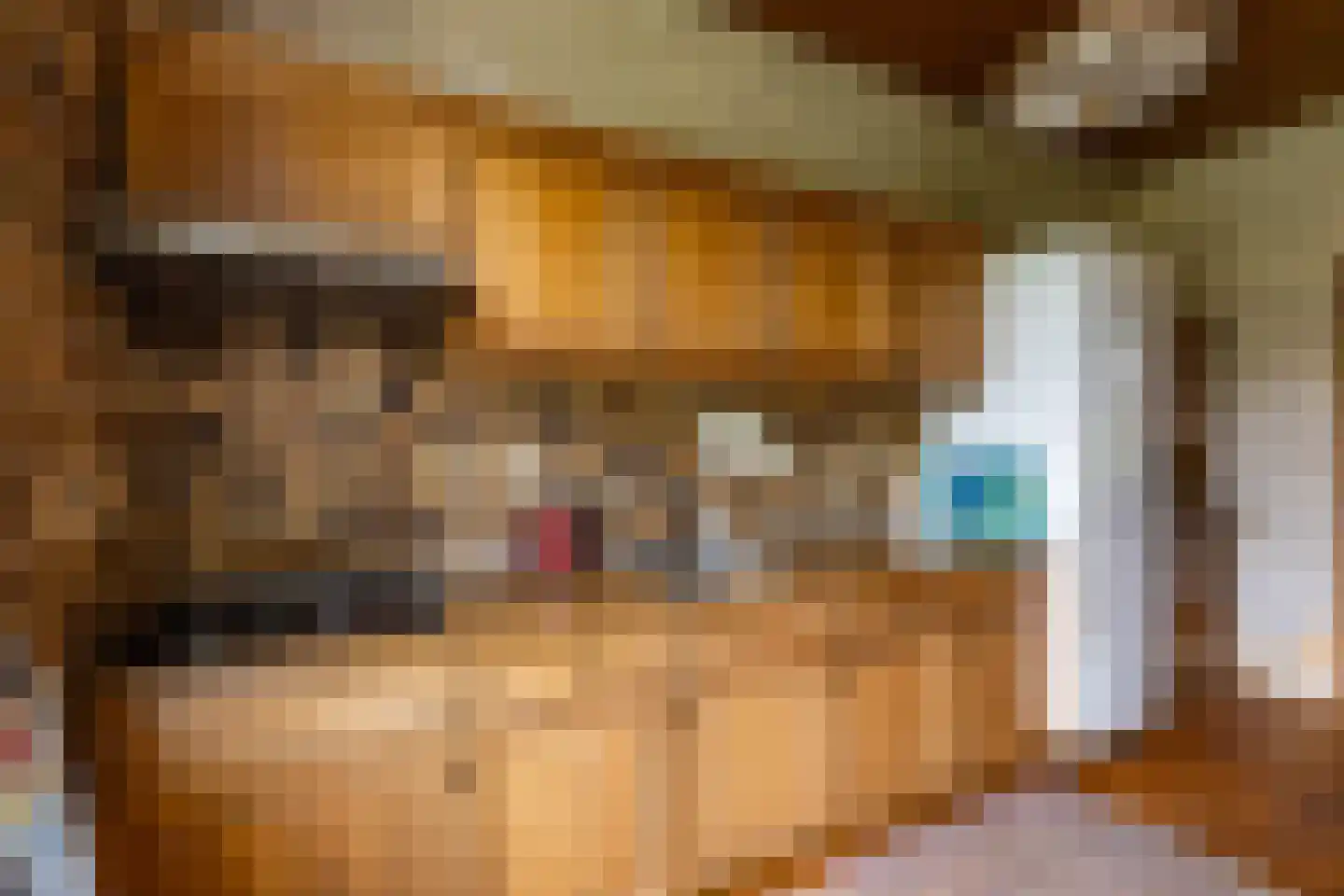 Borgweg 31 Schipborg thumbnail 12