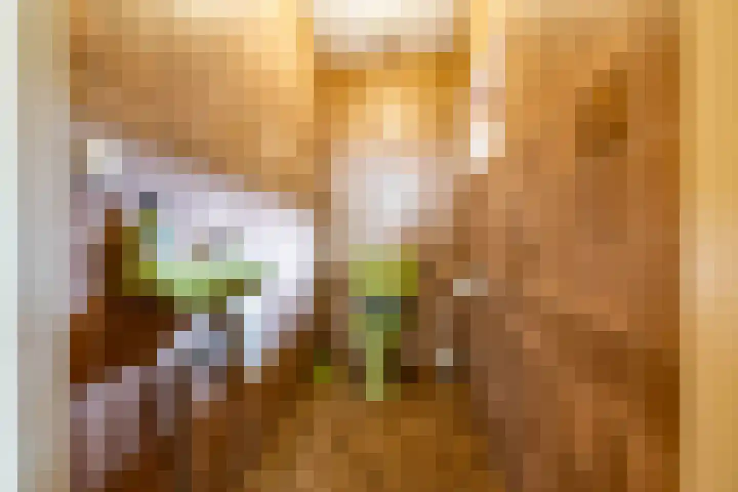 Borgweg 31 Schipborg thumbnail 16
