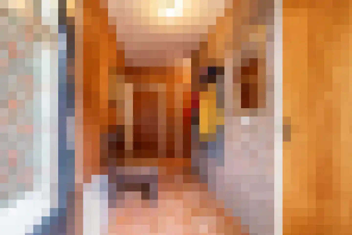 Borgweg 31 Schipborg thumbnail 17