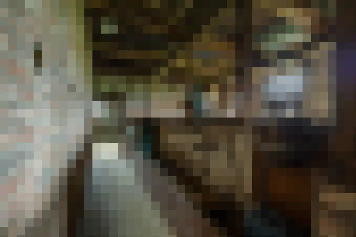 Borgweg 31 Schipborg thumbnail 23