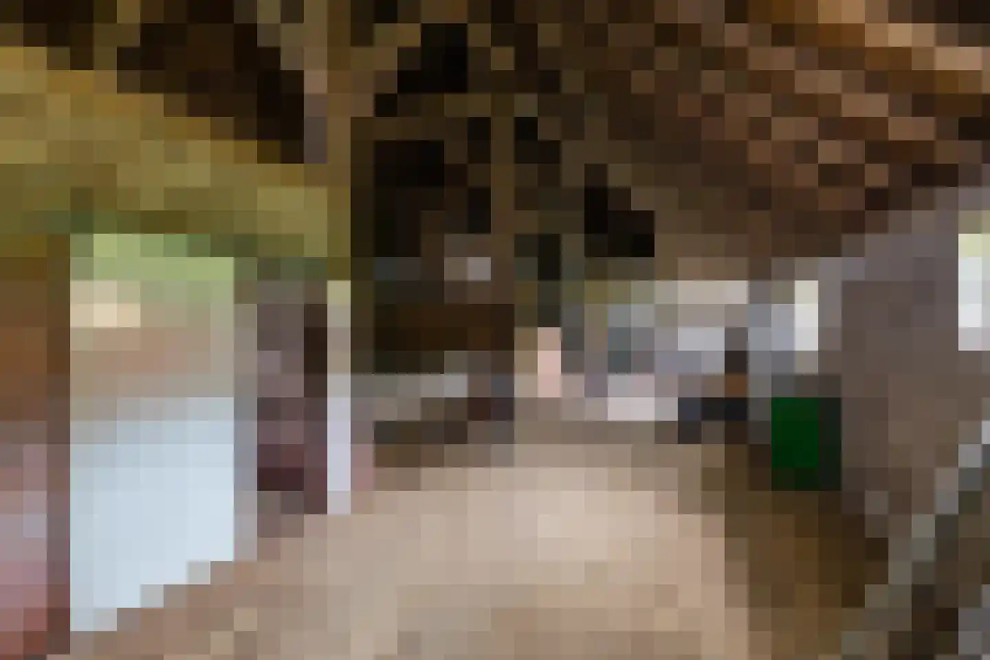 Borgweg 31 Schipborg thumbnail 24