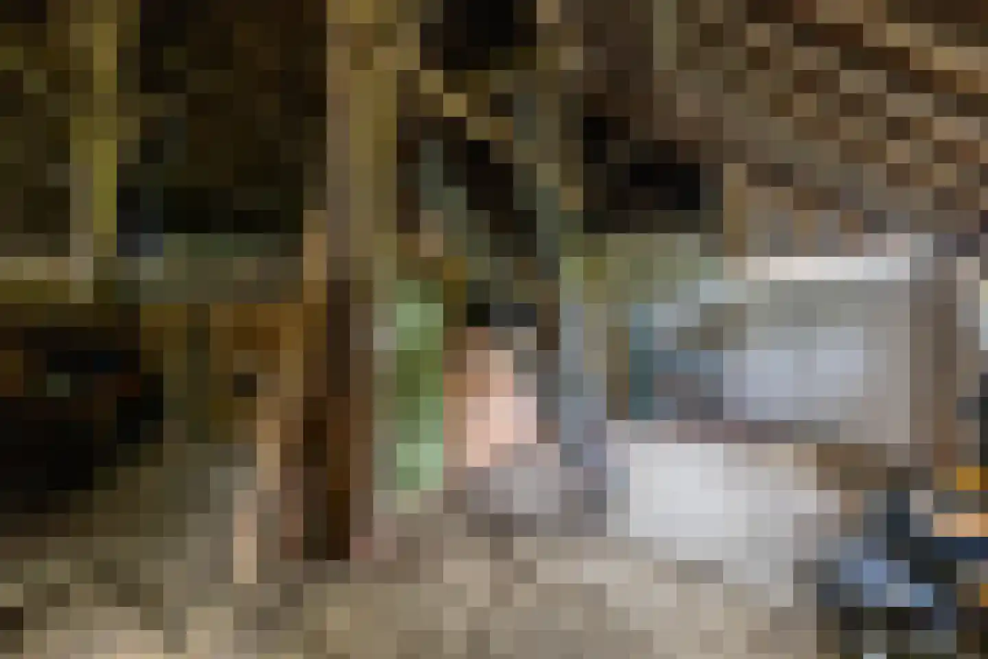 Borgweg 31 Schipborg thumbnail 25