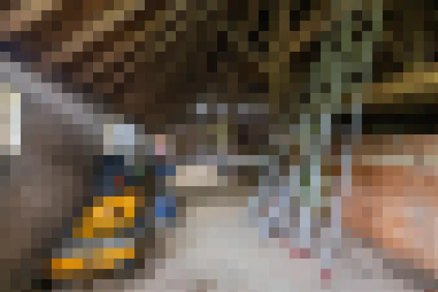 Borgweg 31 Schipborg thumbnail 26