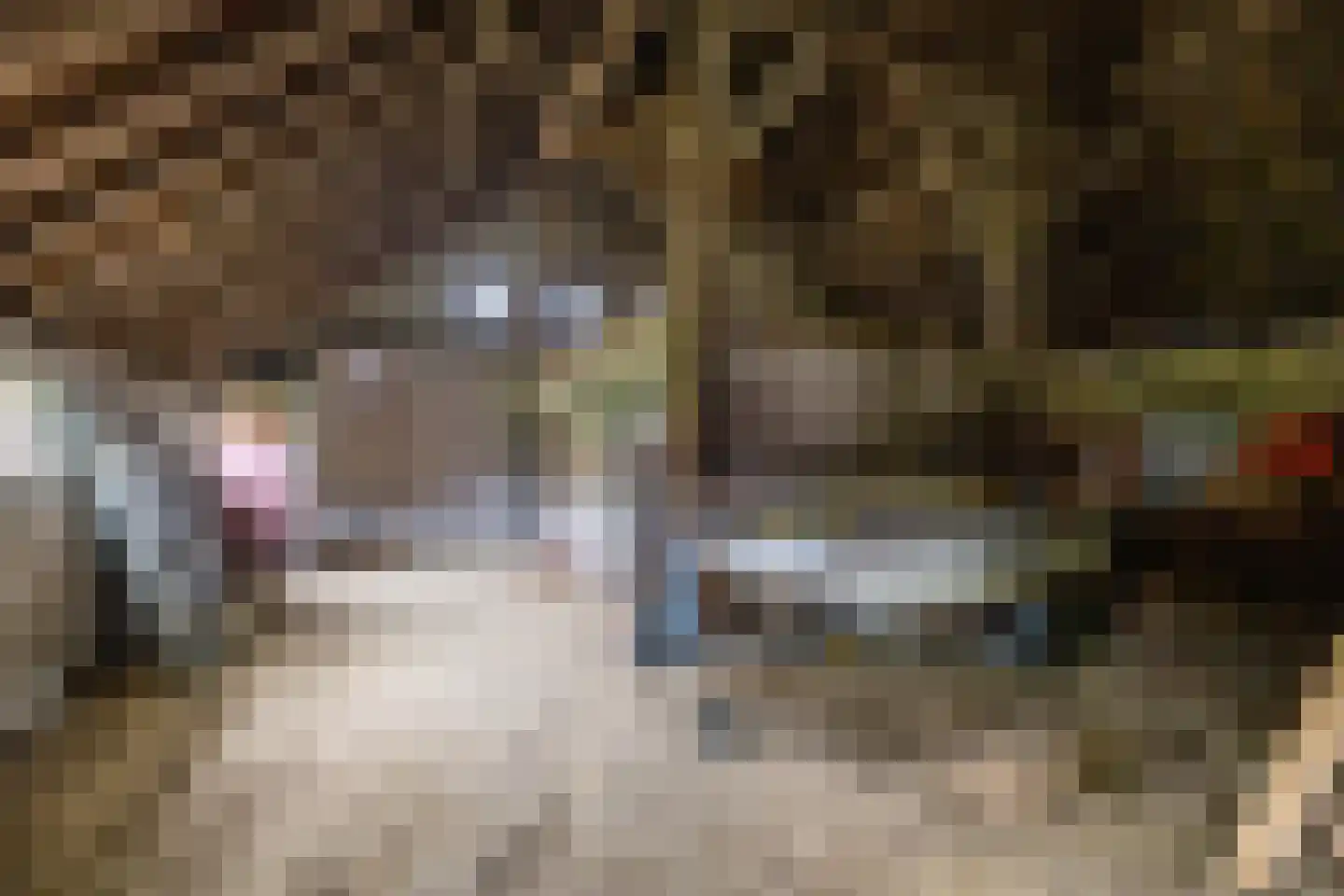 Borgweg 31 Schipborg thumbnail 27