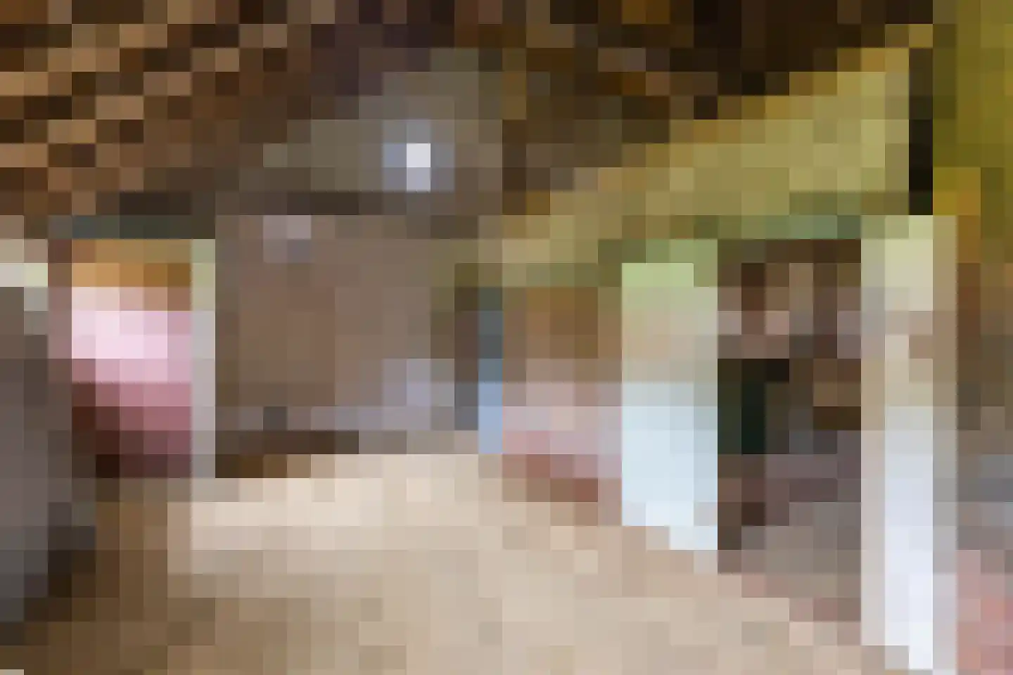 Borgweg 31 Schipborg thumbnail 28