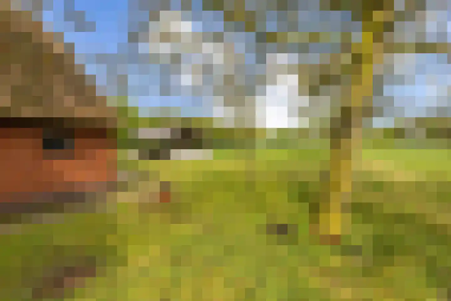 Borgweg 31 Schipborg thumbnail 33