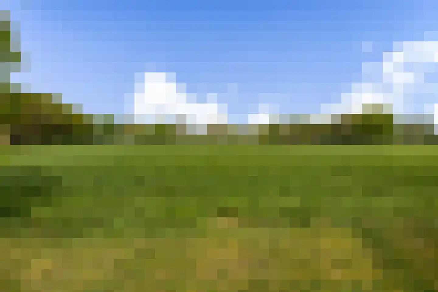Borgweg 31 Schipborg thumbnail 36