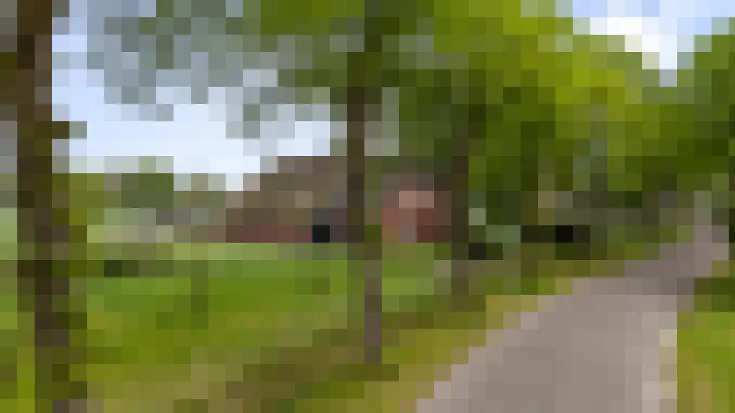 Borgweg 31 Schipborg thumbnail 40