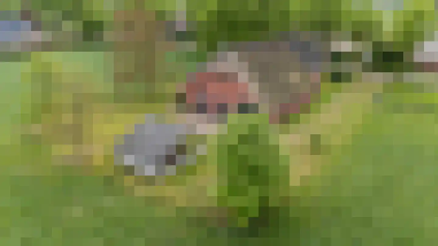 Borgweg 31 Schipborg thumbnail 42