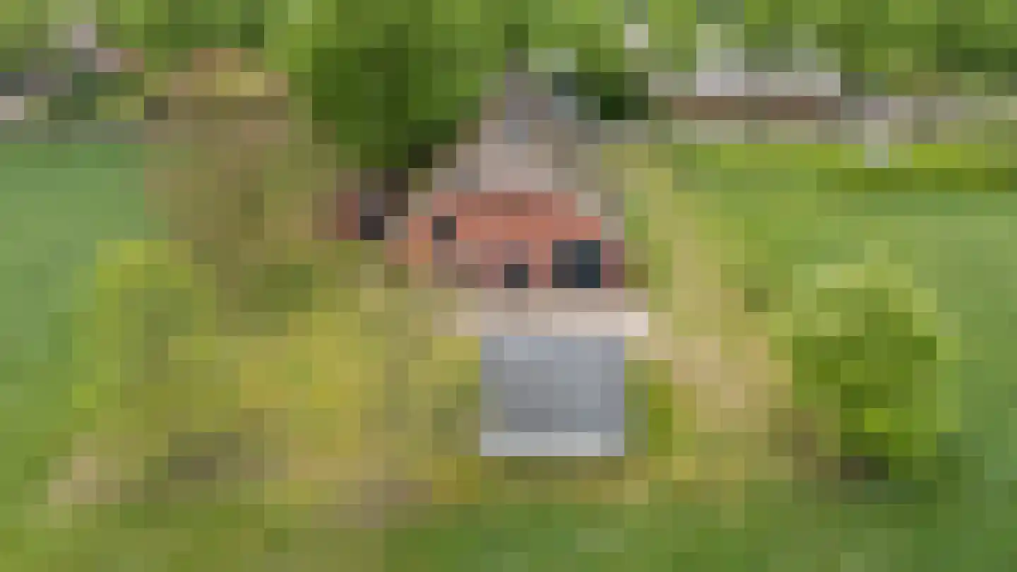 Borgweg 31 Schipborg thumbnail 44