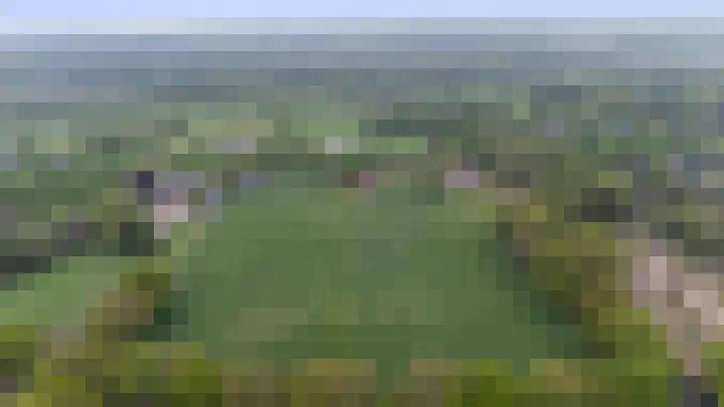 Borgweg 31 Schipborg thumbnail 45