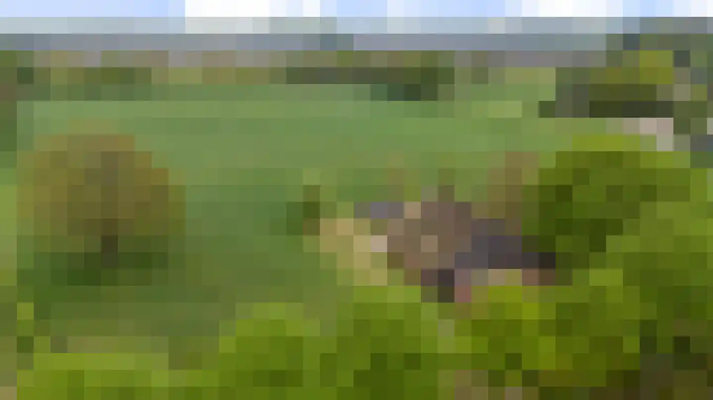 Borgweg 31 Schipborg thumbnail 48