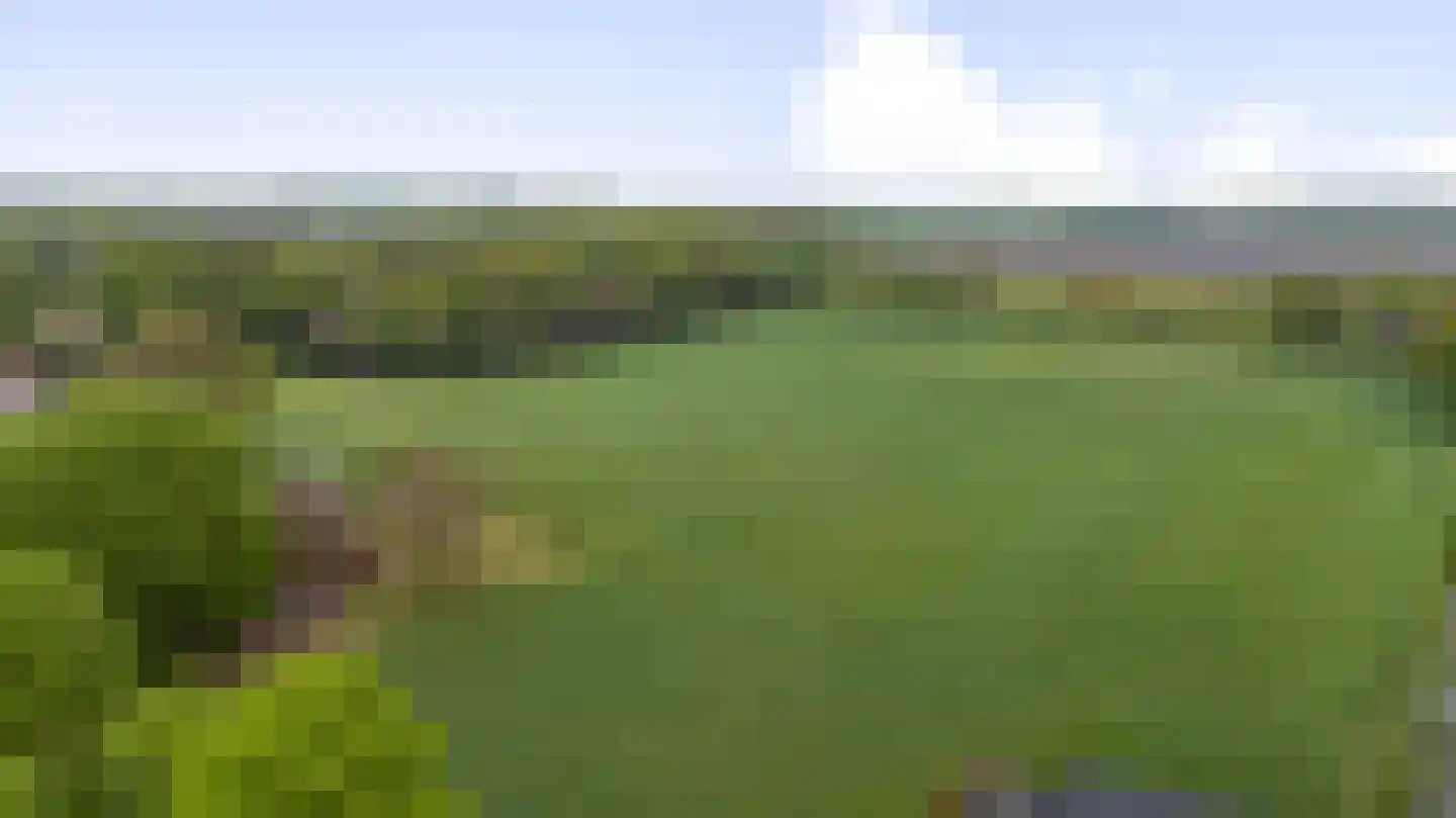 Borgweg 31 Schipborg thumbnail 49