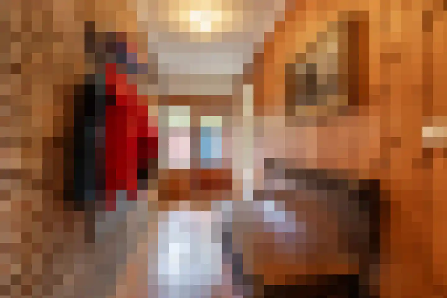Borgweg 31 Schipborg thumbnail 5